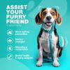 No Poo Chews for Dogs Coprophagia Deterrent for Dogs Forbid for Dogs Stool Eating Deterrent Dog Probiotics for Digestive Health Digestive Gut Immune H