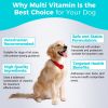 High Quality Multi Vitamin Supplement for Dogs Daily Health Support and Immune Boost