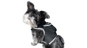 Get Accurate Pet Locations w/ Pet Tracker Realtime Dog Collar GPS Tracker Size:M