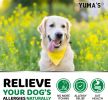 2 Pack Dog Allergy Relief Chews Dog Itching Skin Relief Treatment Pills Anti Itch for Dogs Itchy and Paw Licking Dry Skin & Hot Spots Omega 3 Fish Oil