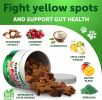 Grass Burn Spot Chews for Dogs Pee Lawn Spot Saver Caused by Dog Urine Grass Treatment Rocks Urine Neutralizer for Green Lawn Chewable Probiotics Dige
