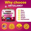 Dog UTI Treatment Cranberry Supplement & Bladder Control for Dogs Urinary Tract Infection Incontinence Pill Bladder Stones UTI Medicine Treats 120 Sof