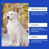 Yegbong Pet Dog Joint Supplement To Nutrition Care Joint th Pet Joint Care Agent