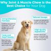 Joint and Muscle Chew for Dogs Natural Supplement for Mobility and Joint Health