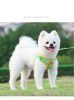 dog Harnesses and dog leash set; Pet Chest Strap Vest Dog Strap Small Dog Rope Wholesale Reflective Dog Towing Rope