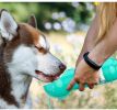 Portable 4-in-1 Pet Water Bottle With Food Storage, Poop Bag Dispenser, and Spoon. 300ml Capacity. Available In Yellow, Pink, Green, and Other Colors.